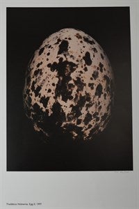 Image description is not available for DU2024.21